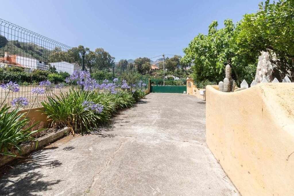 Villa Ojuelos Gran Canaria Vega de San Mateo Luaran gambar